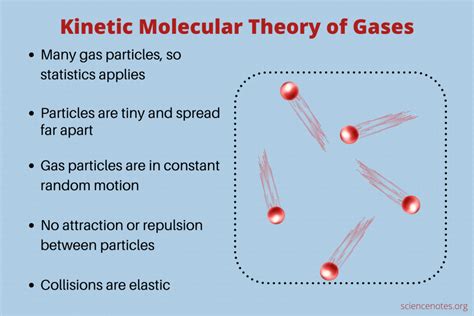 Kinetic study on the molecular mechanism of light